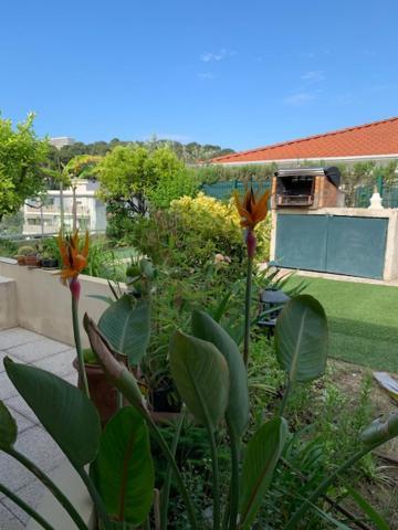 Ferienwohnung Jardin D'Azur proche mer Cagnes-sur-Mer Exterior foto